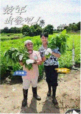 妈妈的职业 口碑评分